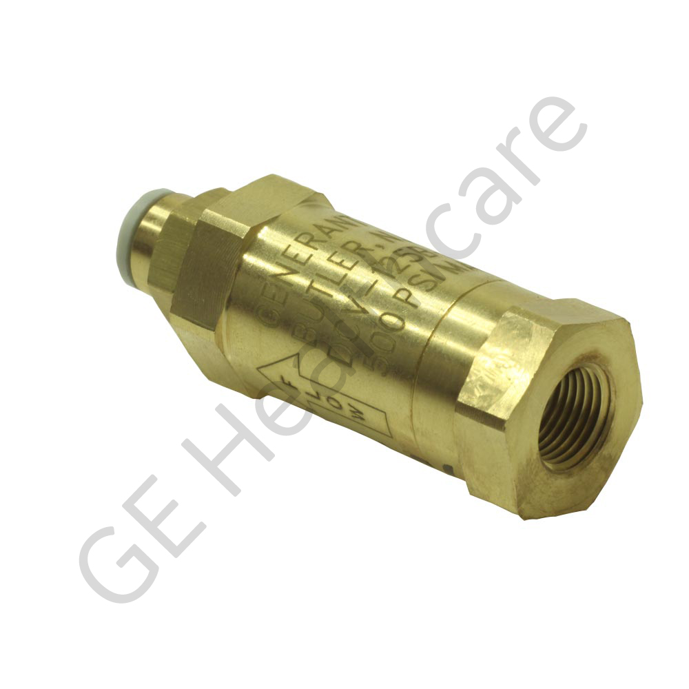 Check Valve with Filter and Straight Push Connect Fitting Check Valve with Filter and Straight Push Connect Fitting