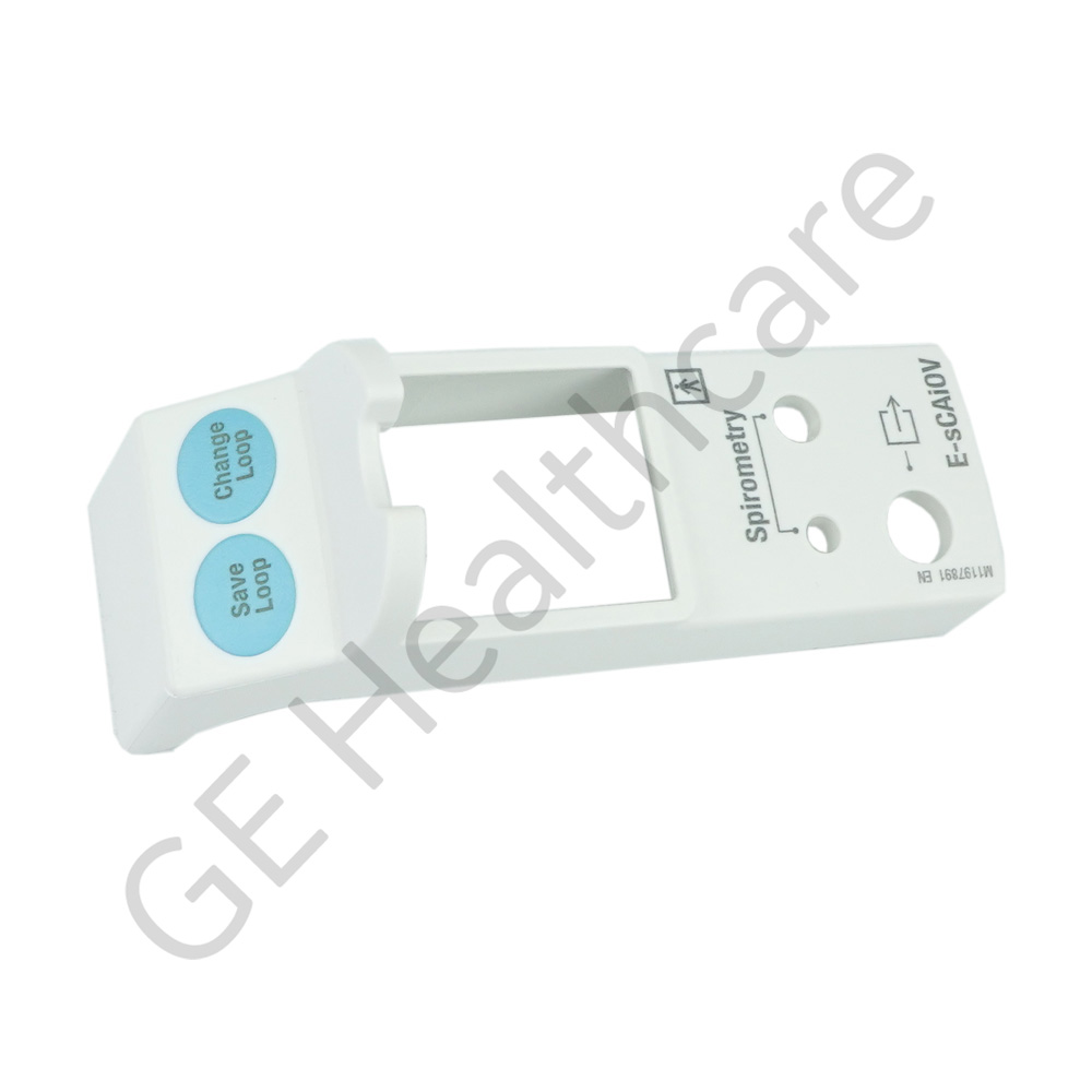 Front Cover English E-SCAIOV Front Cover English E-SCAIOV